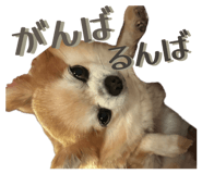 855265723