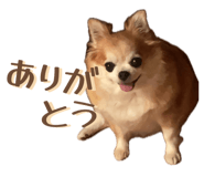 855265728