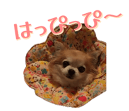 855265732