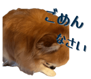 855265736