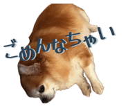 855265737