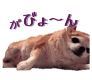 855265738
