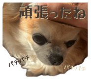 855265743
