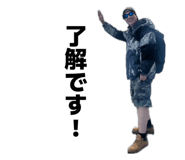 855265868