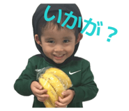 855268467