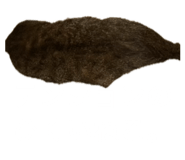 855269090