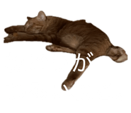 855269091