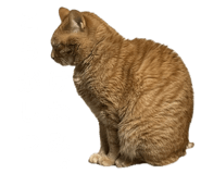 855269098