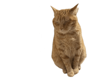855269099