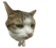 855269100