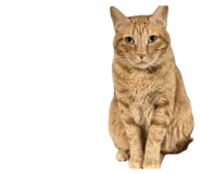 855269105