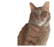 855269108