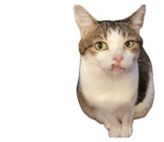 855269109
