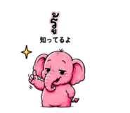 855269142