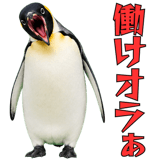 855270185