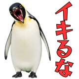 855270193