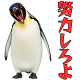 855270194