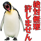 855270197