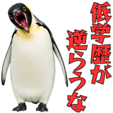 855270198