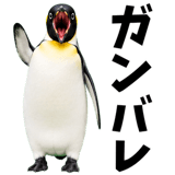 855270201