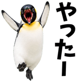 855270203