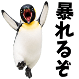855270204
