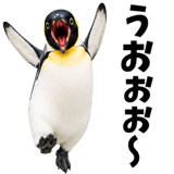 855270205