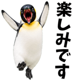855270206