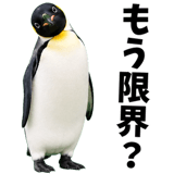 855270207
