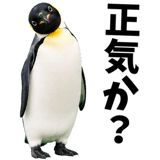 855270208