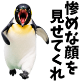 855270209