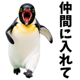 855270210