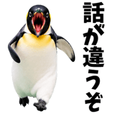 855270211