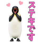 855270212
