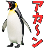 855270216