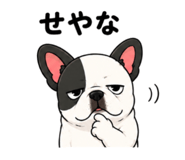 855271243