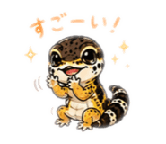 855273053