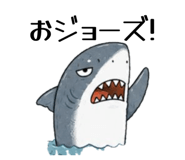 855273243
