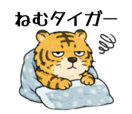 855273255