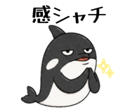 855273257