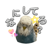 855273321