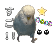 855273327