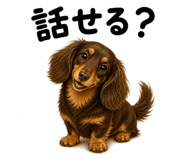 855273930