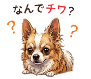855274681