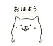 855275369