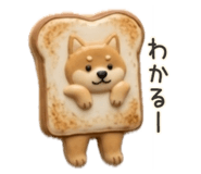 855275823