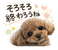 855275976