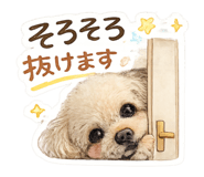 855275979