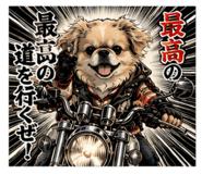 855276535