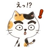 855276657